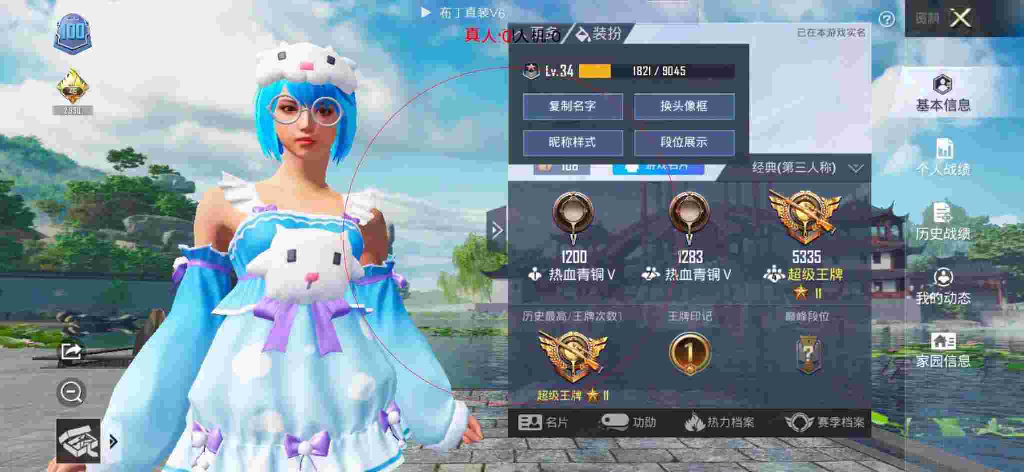 和平精英布丁直装透视 - 和平精英胸罩服装辅助预览图